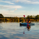 sophiewouldmakesense avatar