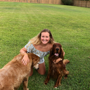 sophisticated-nugget avatar