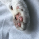 sophisticated123 avatar