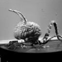 sophisticatedkal avatar