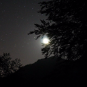 sophrosyneftychia avatar