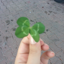 sor-bana-pisman-miyim avatar