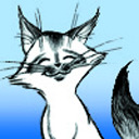 soranokumo-is-catt avatar