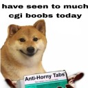 sorathesegull-love avatar