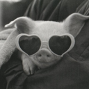 sordidguiltypleasure avatar