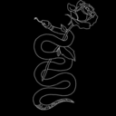 sorrisofalsosempre avatar