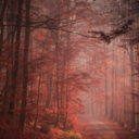 sorrisomessocomescudo23 avatar