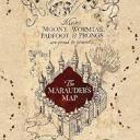 sorrowful-wallflower avatar