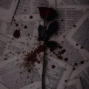 sorrowfulrosebud avatar