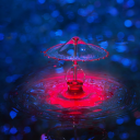 sorrows-stuff avatar