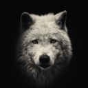 sorry-im-such-a-witch avatar