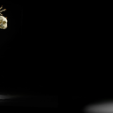 sorrysomethingwentwrong avatar