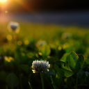 sort-of-runic-rhyme avatar