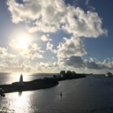 sortakindatrying avatar