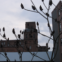 sortilega-blog avatar