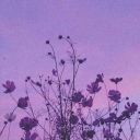 sortudacerteira avatar