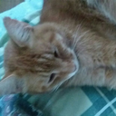 sosadyetsosassy avatar