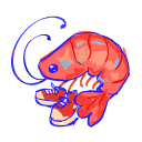 soshrimped avatar