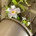 sothatyoumighthearme avatar