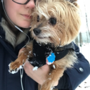 sothesearemy20s avatar