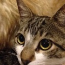 soul-taken-by-death-blog avatar