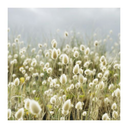 soulawakeningblog avatar