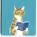 souldusttothestars avatar