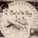soulofrose avatar