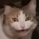 soulren44-blog avatar