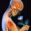 soulspiritlife-blog avatar