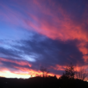 soulswornlikeseaglass avatar