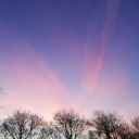 sound-of-life avatar