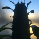 sound-off-silence avatar