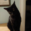 soundlessobituary avatar