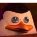 soundlesssquid avatar