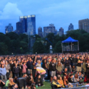 soundnature-blog avatar