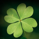 soundofemotions avatar