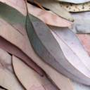 soundofwinter avatar