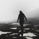 sounds-in-the-fog avatar