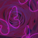 sounds-of-my-misery avatar