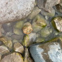 soundscenario avatar