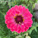 soundsliketwistednerve avatar