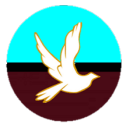 soup-stars-and-silence avatar