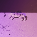 soupsanctimony avatar