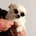 soupsandrecreation avatar