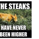 soupsoupersoup avatar