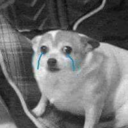 sourcheesecake030 avatar