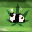 sourdiesalrox avatar