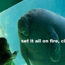 sourdieseldyke avatar