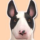 sourpatch-sims avatar